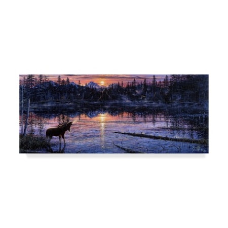Jeff Tift 'Moose Lake' Canvas Art,8x19